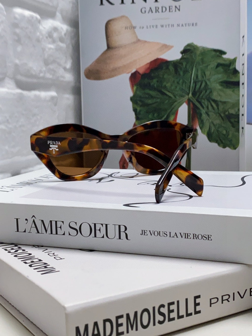 Prada Acetate Cat-Eye Brown Lens Sunglasses for Men & Women - detail image 2