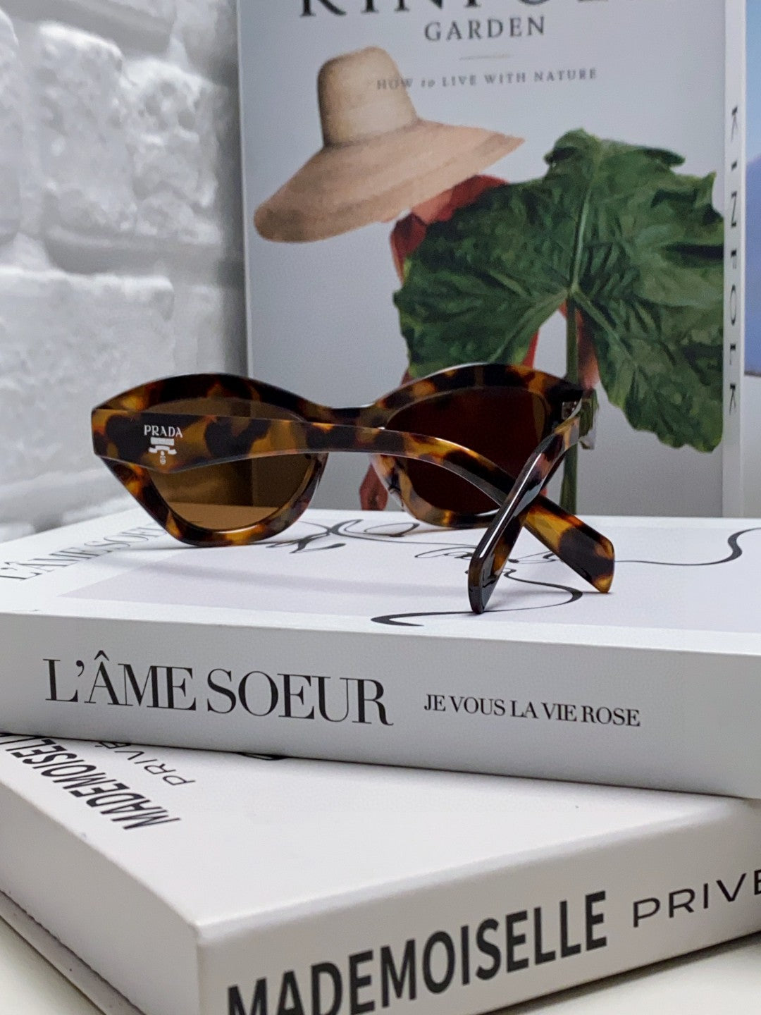 Prada Acetate Cat-Eye Brown Lens Sunglasses for Men & Women - detail image 2