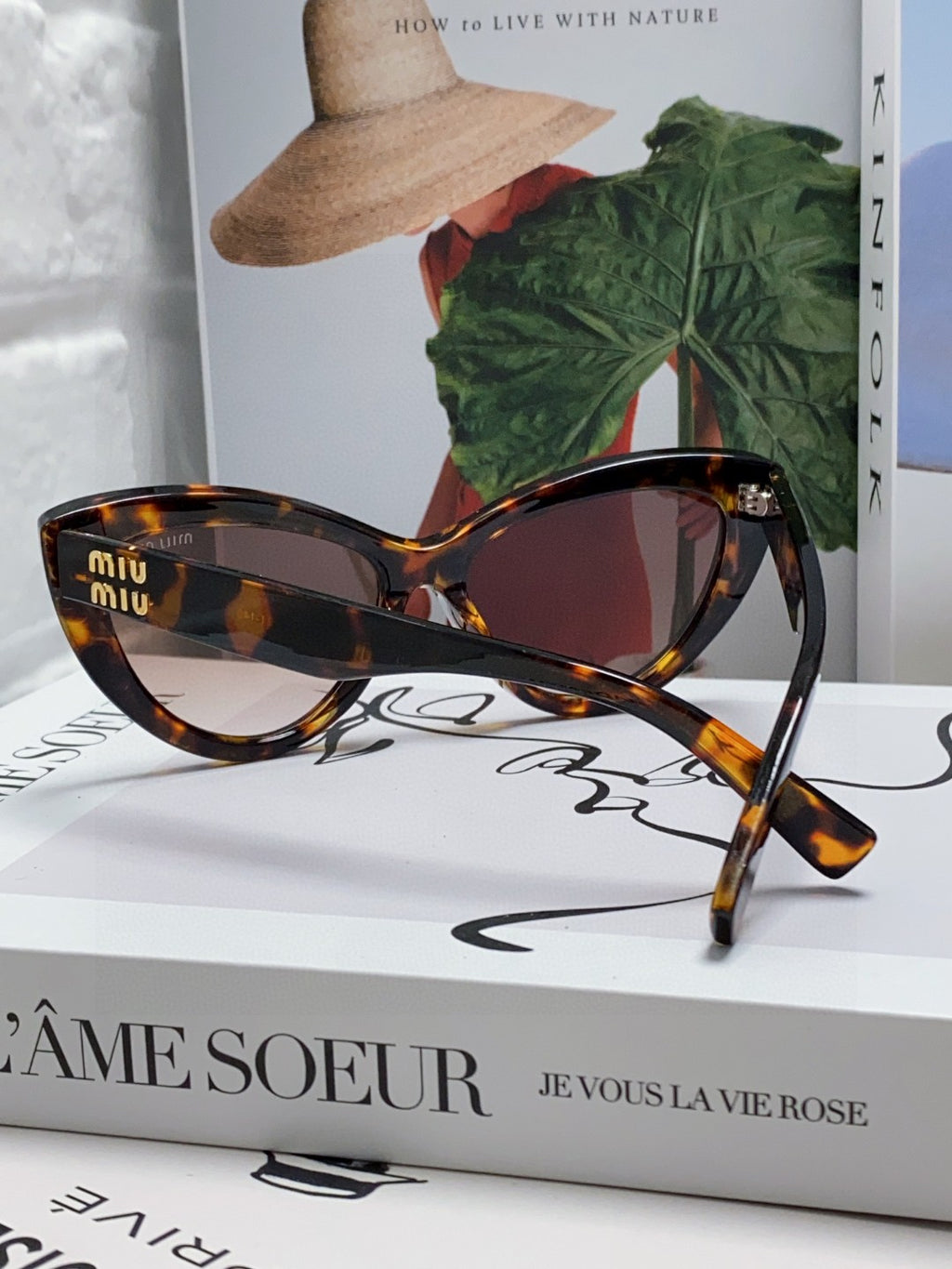 Miu Miu Cat-Eye Brown Lens Sunglasses for Men & Women - 998416 - detail image 4