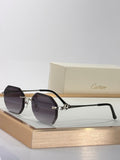 Cartier CT0910S Photochromic Fashion Silver Lens Sunglasses for Men & Women