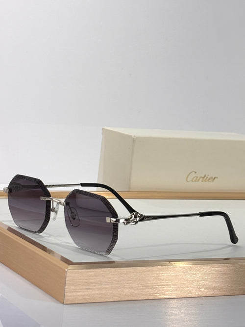 Cartier CT0910S Photochromic Fashion Silver Lens Sunglasses for Men & Women