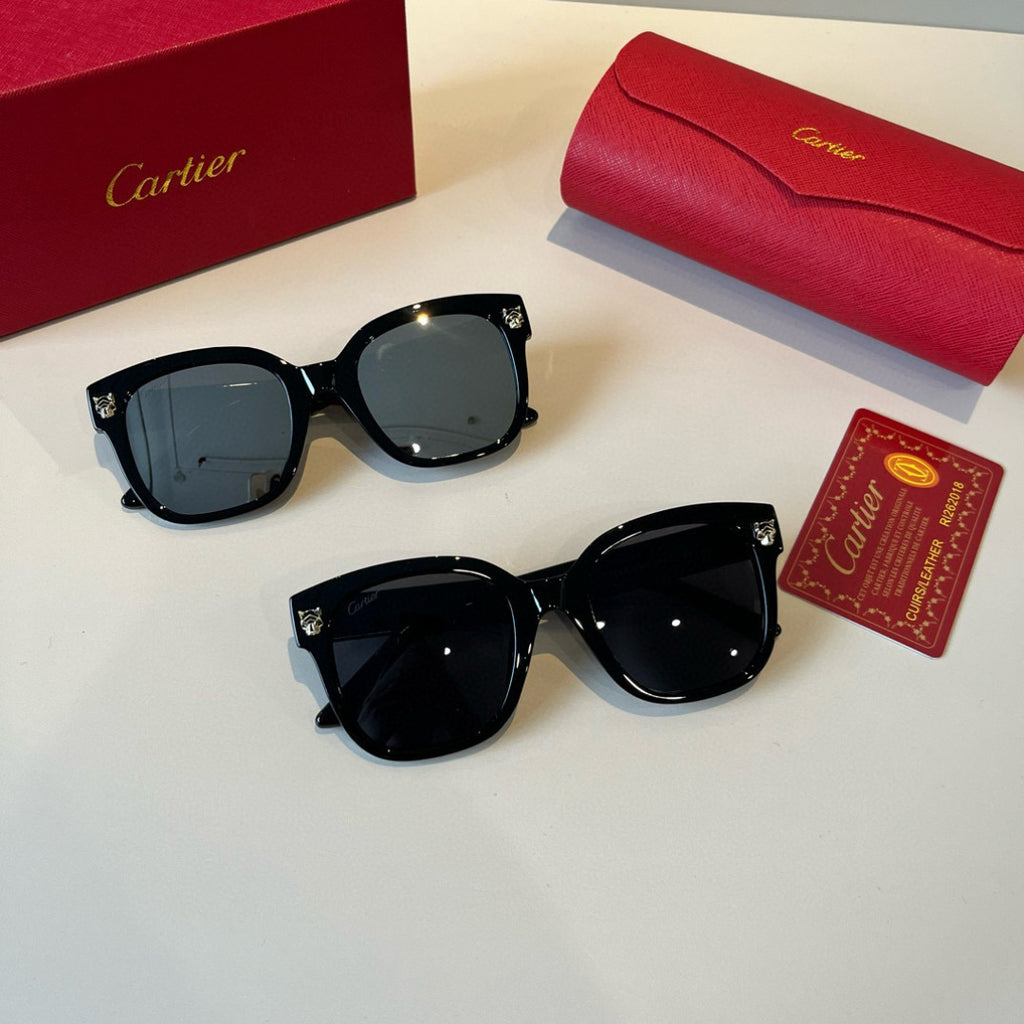 Cartier Lightweight Metal Rimless Black Lens Sunglasses for Men & Wom - 372247 - detail image 11