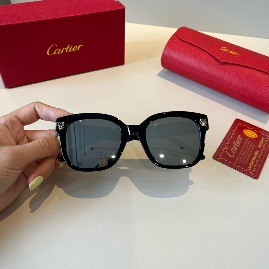 Cartier Lightweight Metal Rimless Black Lens Sunglasses for Men & Wom - 372247 - detail image 5