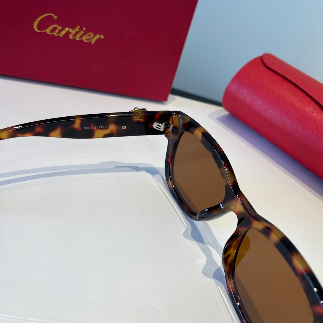 Cartier Lightweight Metal Rimless Black Lens Sunglasses for Men & Wom - 867166 - detail image 5
