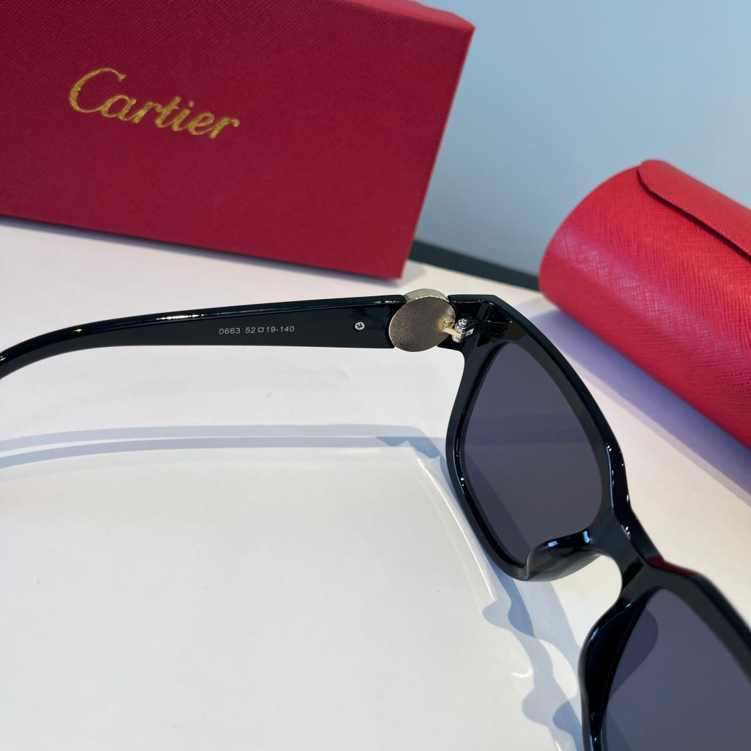 Cartier Lightweight Metal Rimless Silver Lens Sunglasses for Men & Wo - 398985 - detail image 5