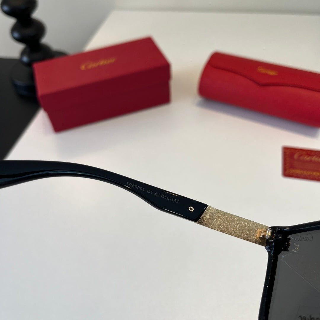 Cartier Lightweight Metal Rimless Black Lens Sunglasses for Men & Wom - 372238 - detail image 9