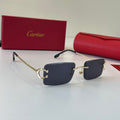 Cartier Lightweight Metal Rimless Silver Lens Sunglasses for Men & Wo - 358466