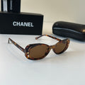 Chanel Fashion Brown Lens Sunglasses for Men & Women - 358084