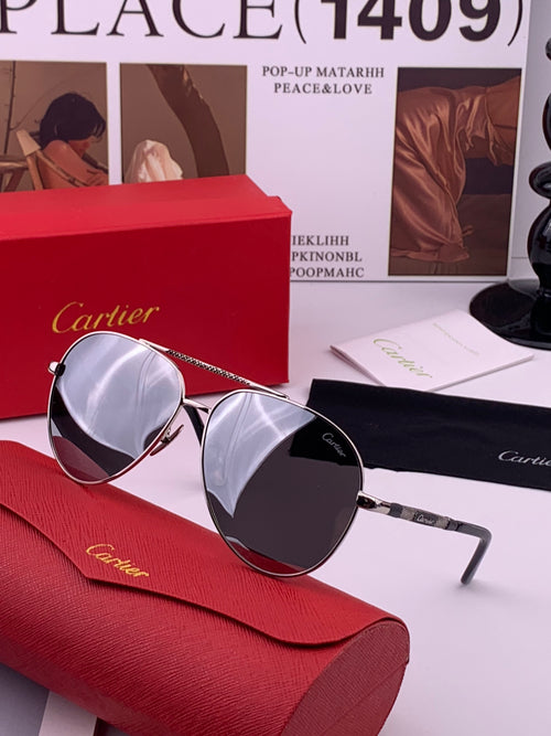 Cartier CK4080 Polarized Fashion Brown Lens Sunglasses for Men & Wome - 382755 - detail image 2