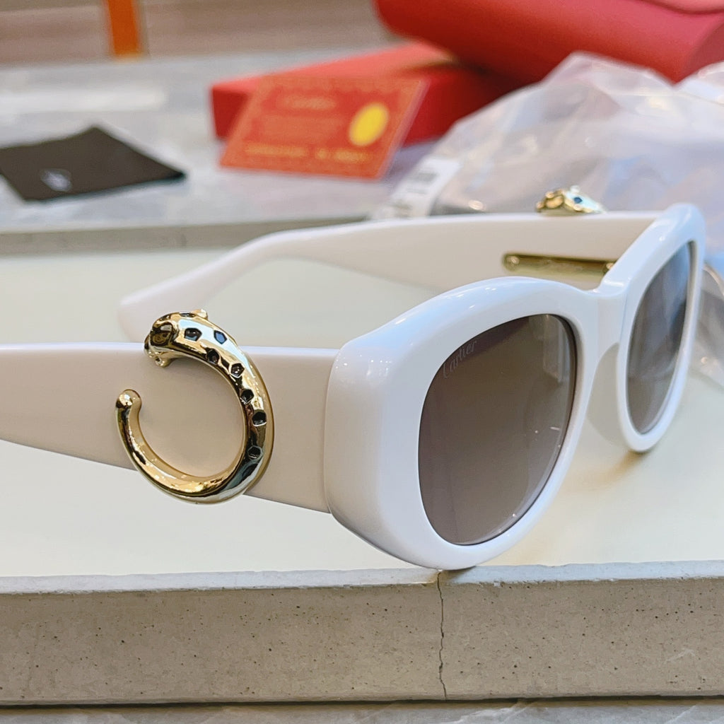 Cartier CT0472S Fashion Red Lens Sunglasses for Men & Women - detail image 7