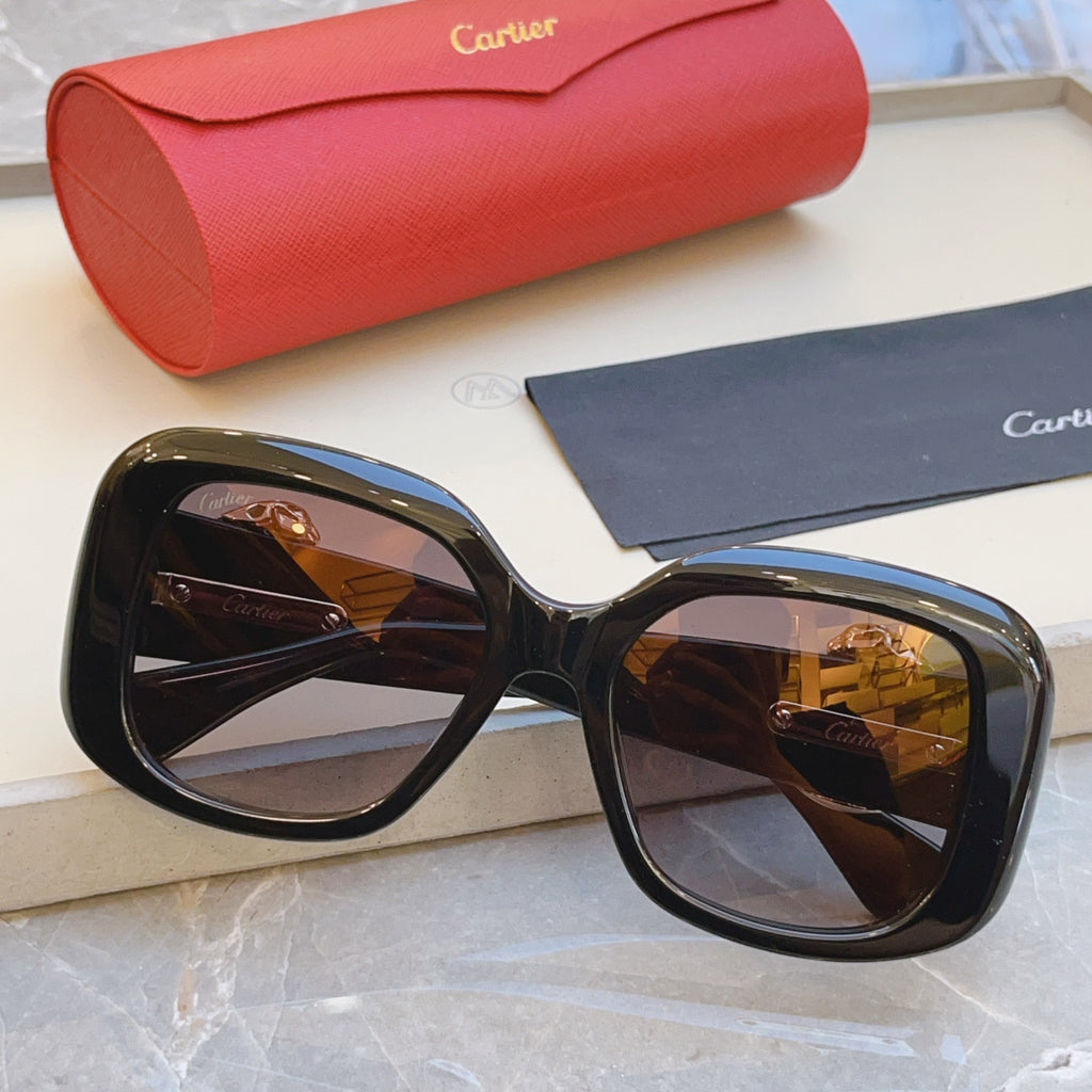 Cartier CT0471S Fashion Black Lens Sunglasses for Men & Women - 415932 - detail image 3
