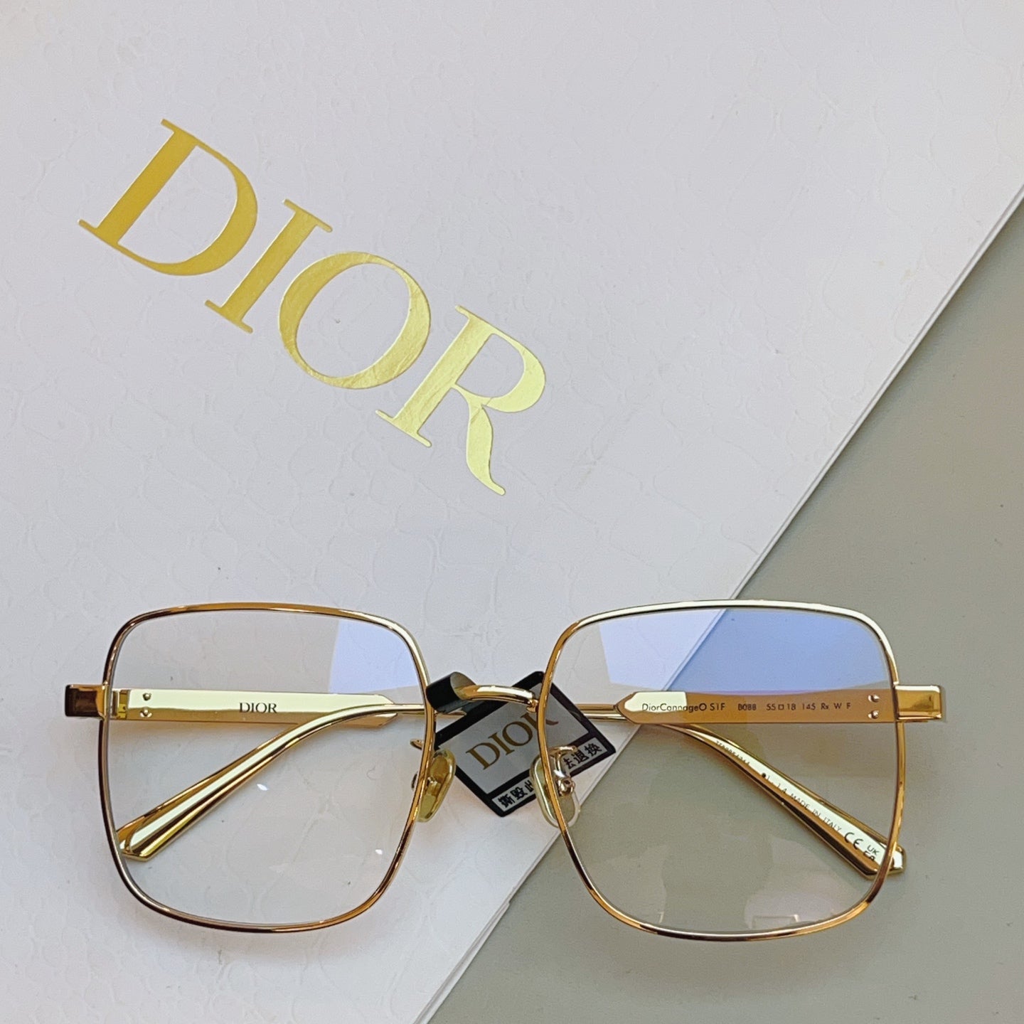 Dior DIORCANNAGE Fashion Silver Lens Sunglasses for Men & Women