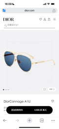 Dior DIORCANNAGE Fashion Blue Lens Sunglasses for Men & Women - 486831