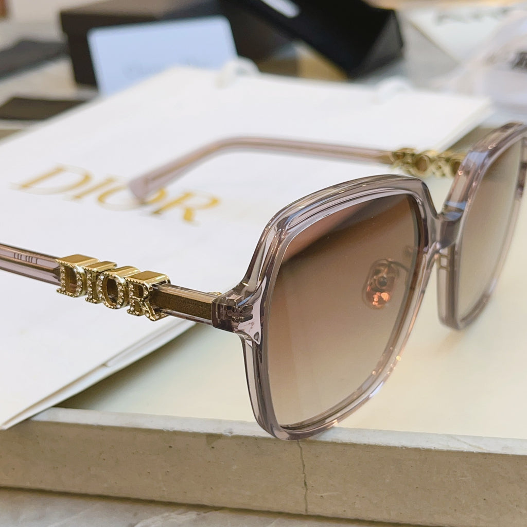 Dior DIORTREASURE Fashion Brown Lens Sunglasses for Men & Women - 465344