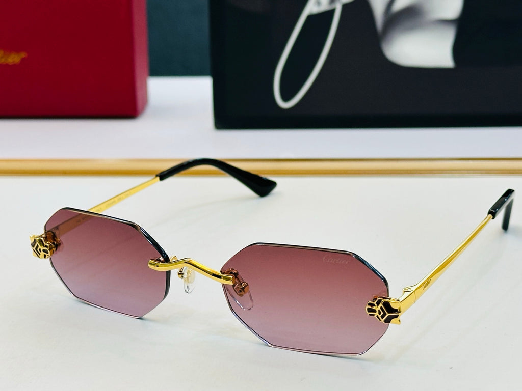 Cartier CT0599O Fashion Gray Lens Sunglasses for Men & Women - detail image 5