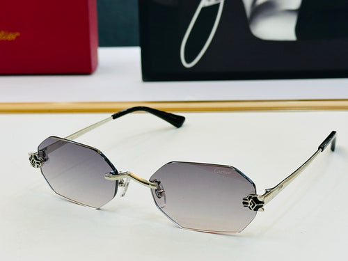 Cartier CT0599O Fashion Gray Lens Sunglasses for Men & Women