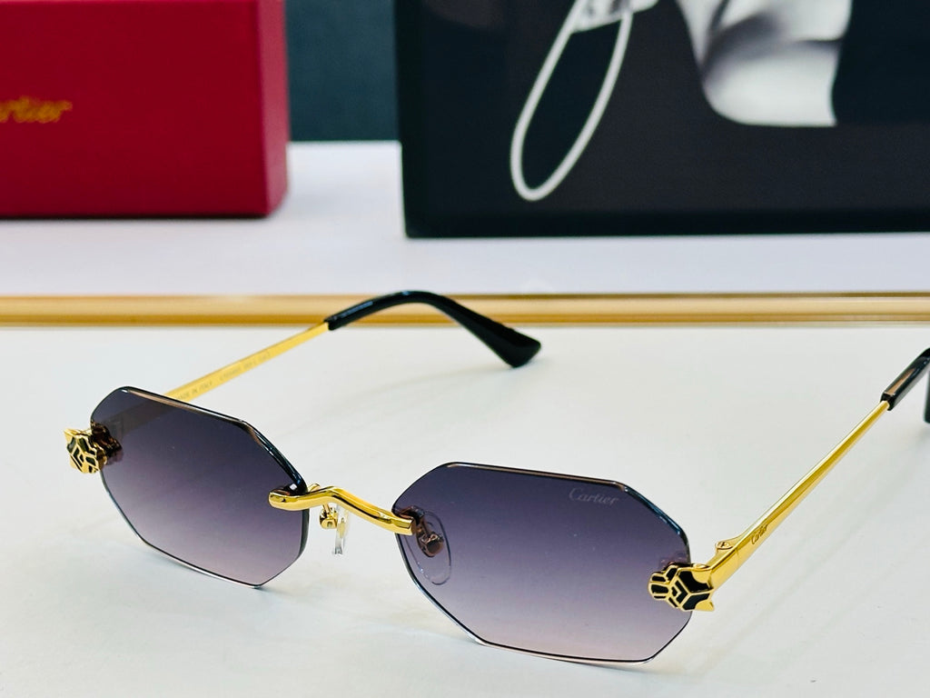 Cartier CT0599O Fashion Gray Lens Sunglasses for Men & Women - detail image 4