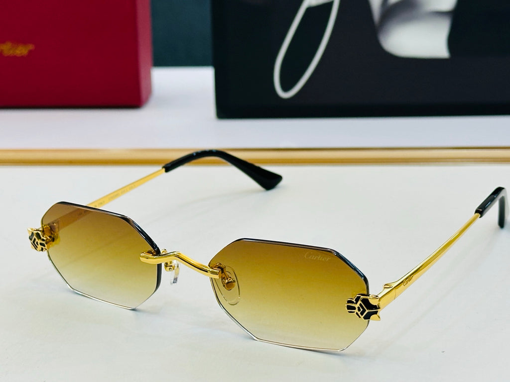 Cartier CT0599O Fashion Gray Lens Sunglasses for Men & Women - detail image 3