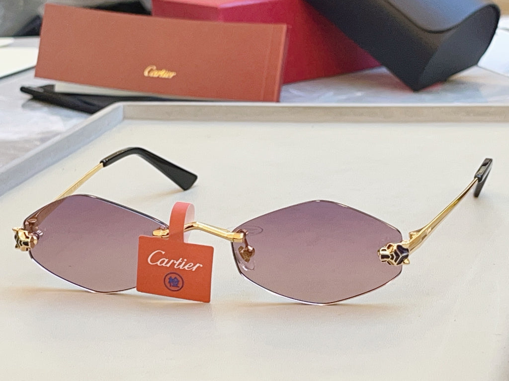 Cartier CT0433S Fashion Red Lens Sunglasses for Men & Women - 415937 - detail image 2