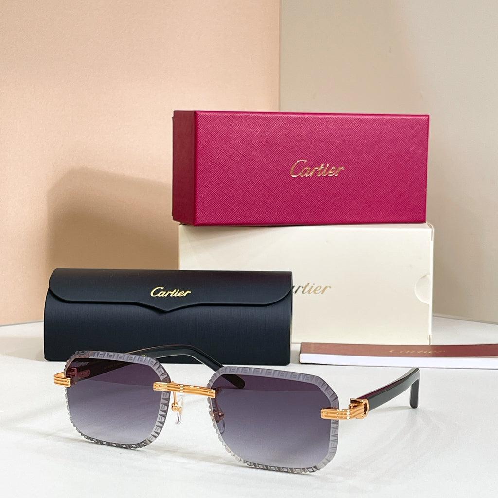 Cartier CT0782S Photochromic Fashion Black Lens Sunglasses for Men & Women - detail image 7