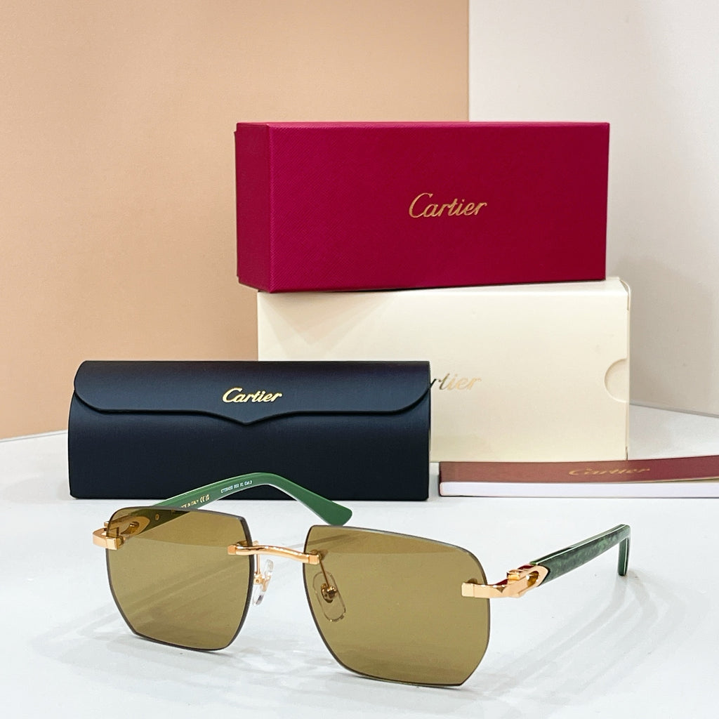 Cartier CT0845S Photochromic Fashion Black Lens Sunglasses for Men & Women - detail image 4