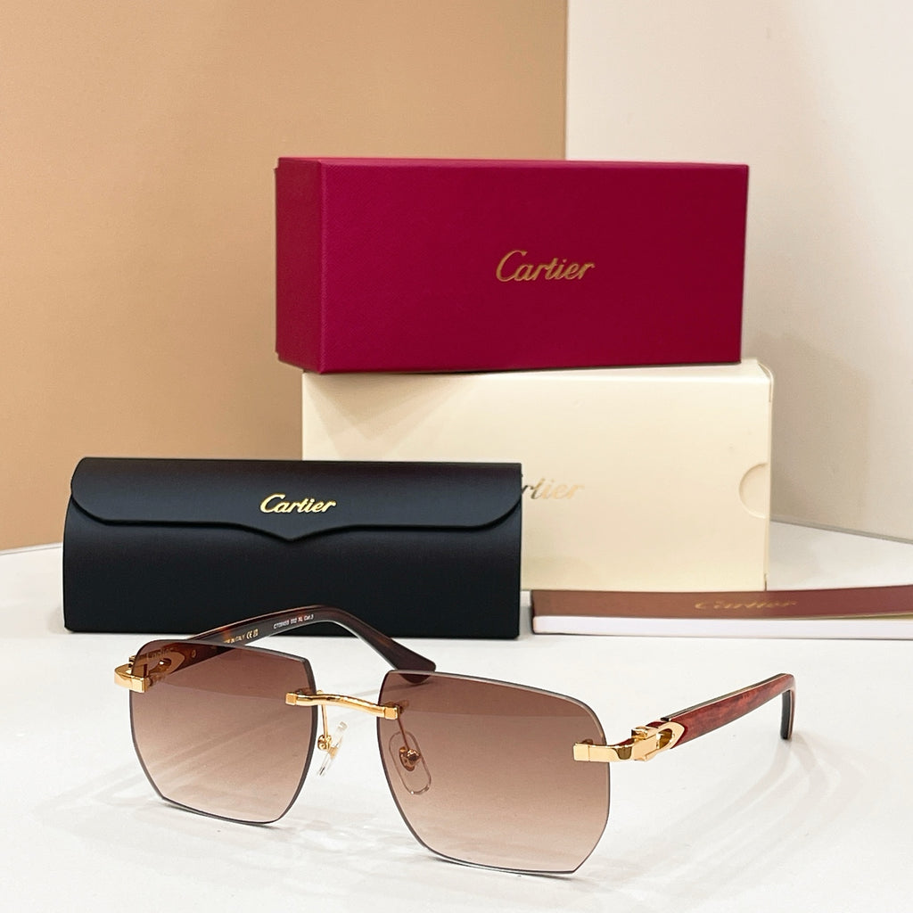 Cartier CT0845S Photochromic Fashion Black Lens Sunglasses for Men & Women - detail image 5