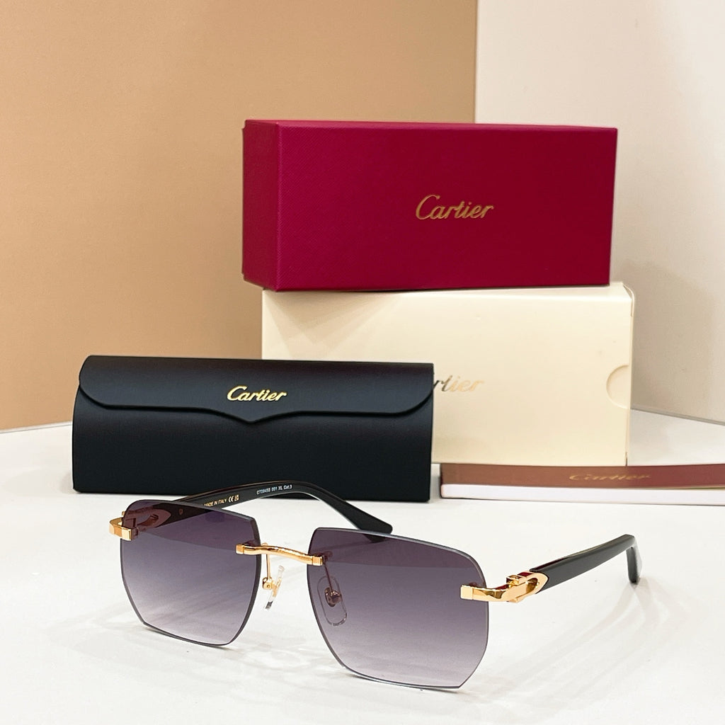 Cartier CT0845S Photochromic Fashion Black Lens Sunglasses for Men & Women - detail image 3