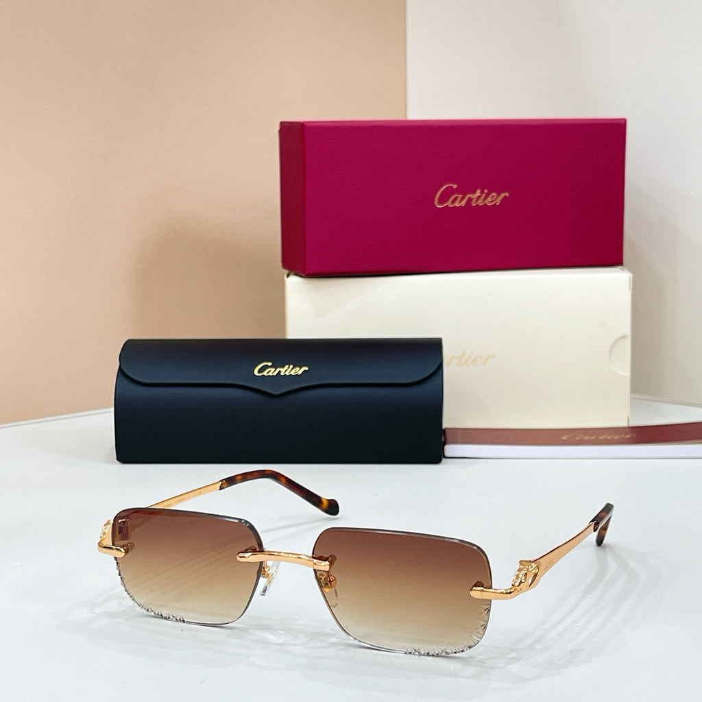 Cartier CT0926S Photochromic Fashion Black Lens Sunglasses for Men & Women - detail image 4