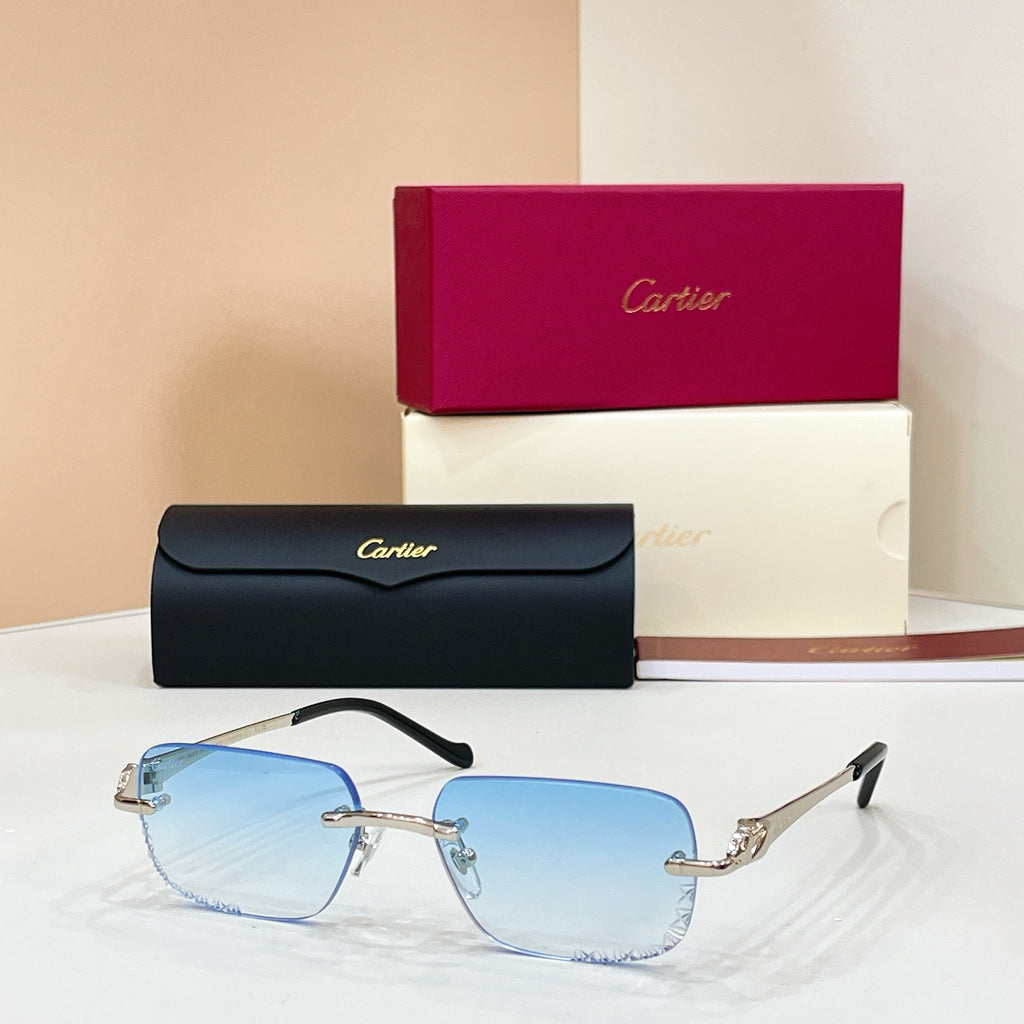 Cartier CT0926S Photochromic Fashion Black Lens Sunglasses for Men & Women - detail image 6