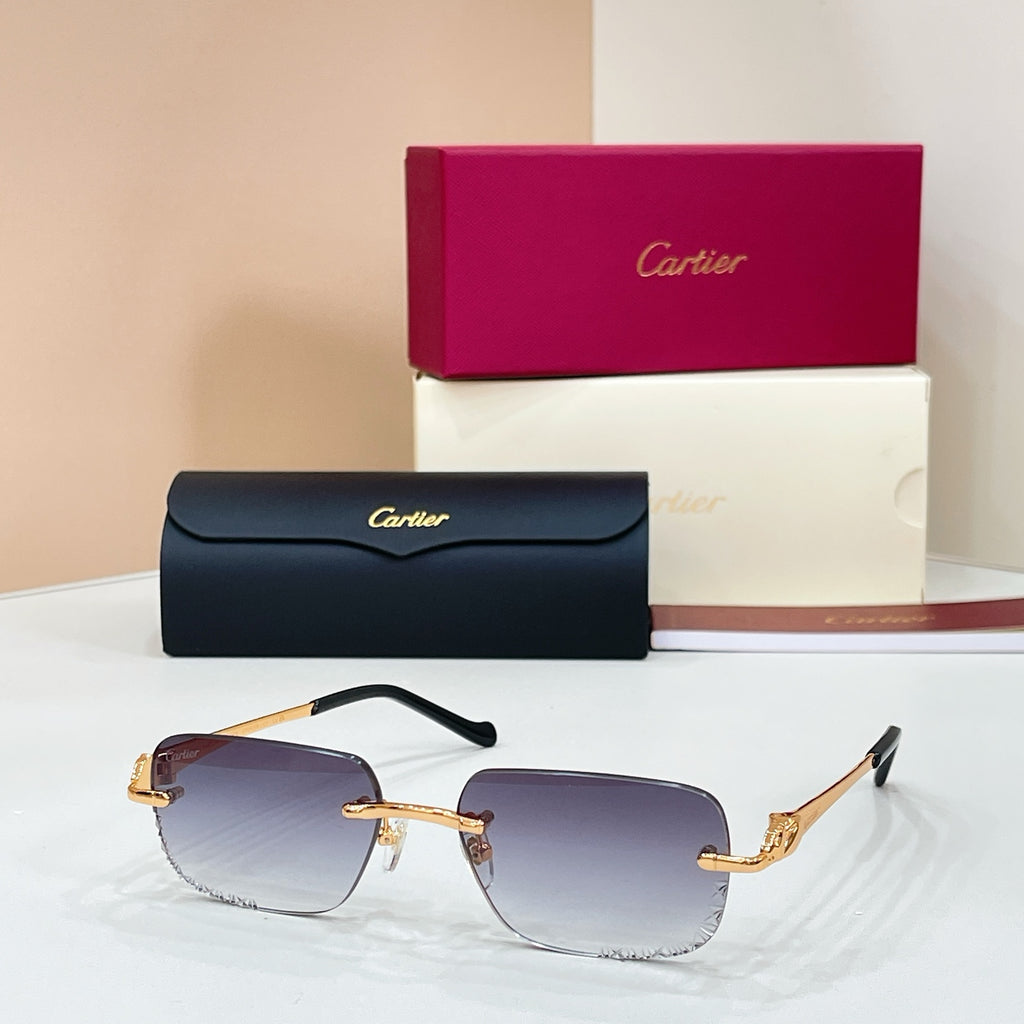 Cartier CT0926S Photochromic Fashion Black Lens Sunglasses for Men & Women - detail image 5