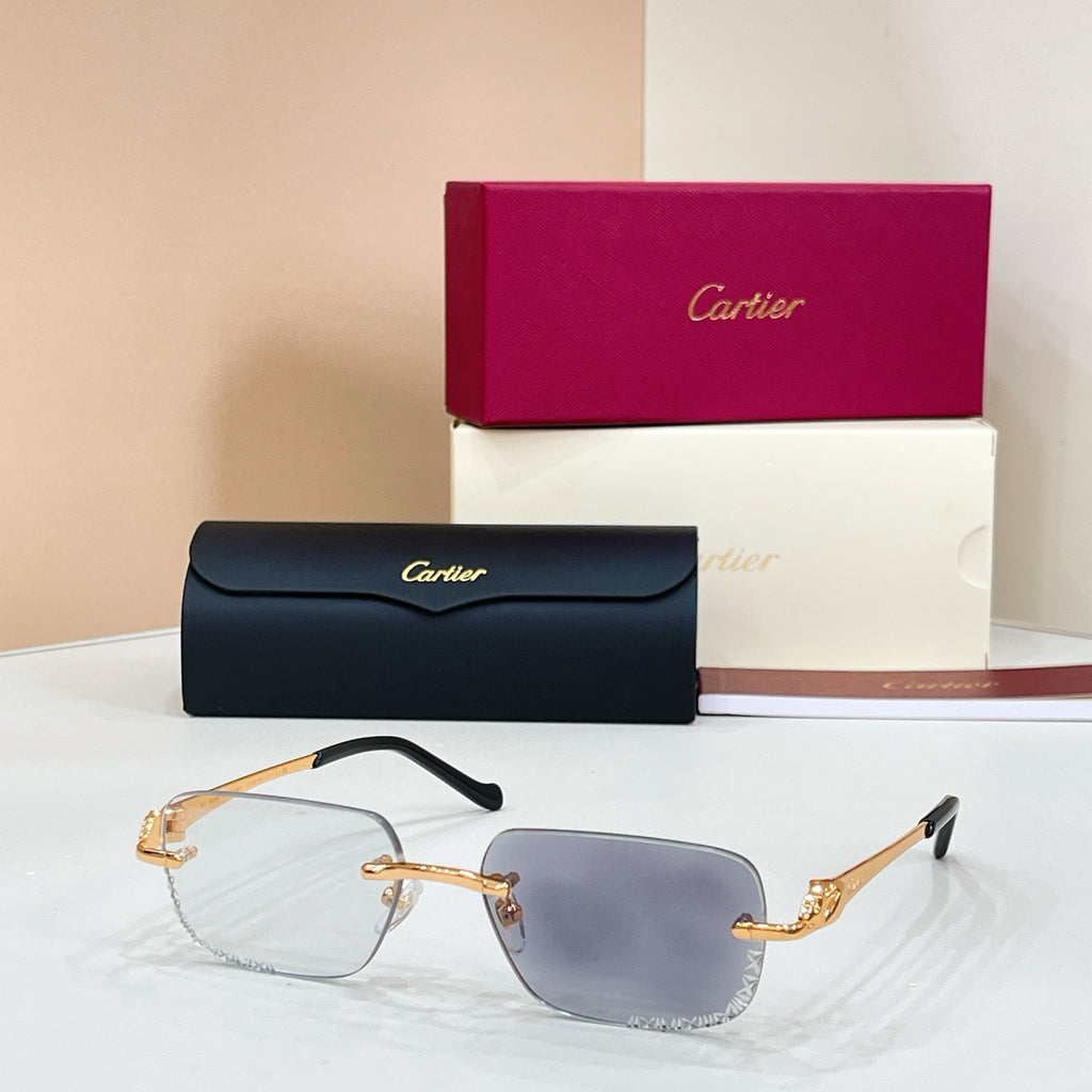 Cartier CT0926S Photochromic Fashion Black Lens Sunglasses for Men & Women - detail image 2