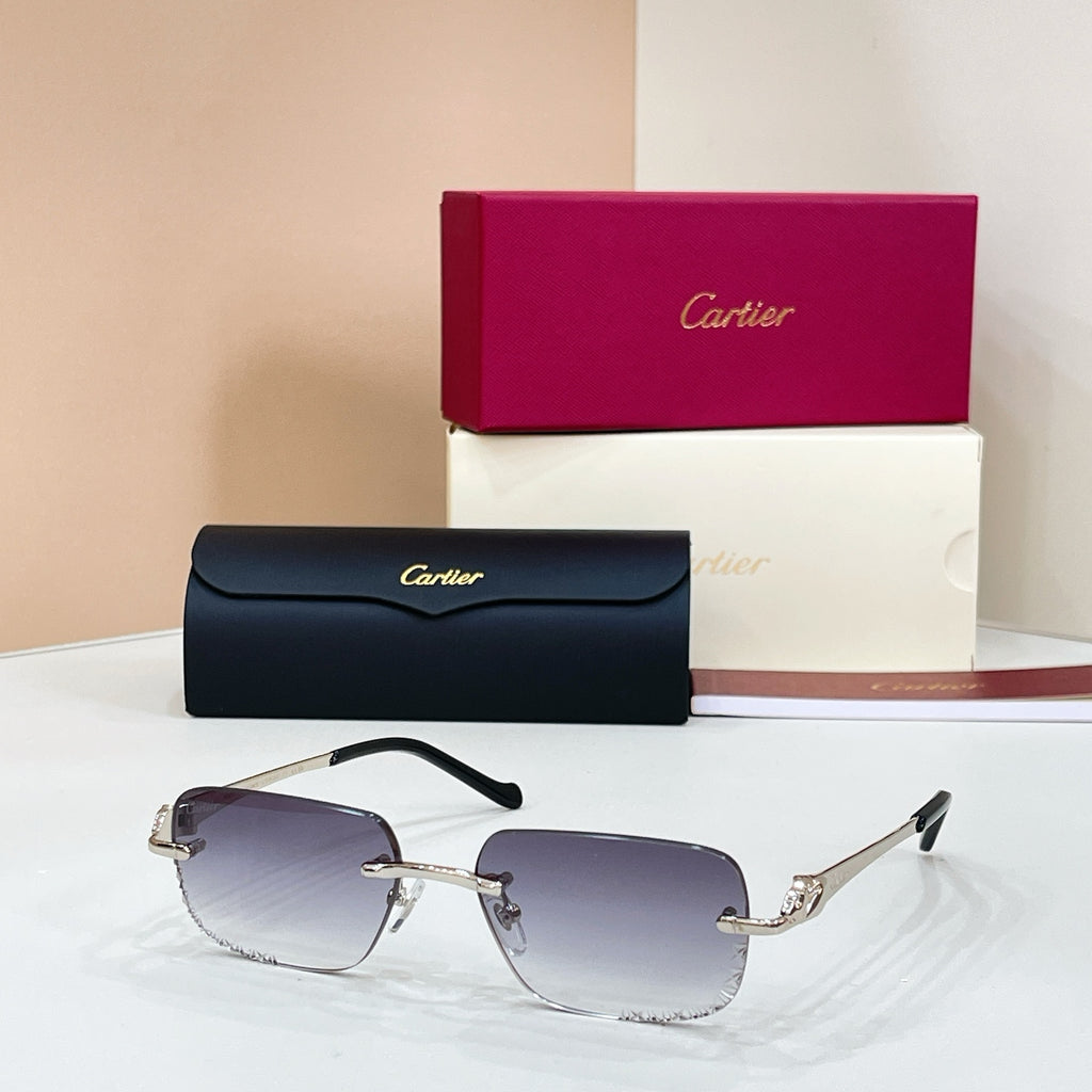 Cartier CT0926S Photochromic Fashion Black Lens Sunglasses for Men & Women - detail image 3