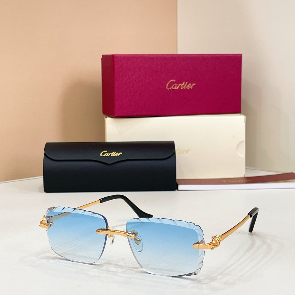 Cartier CT0805S Photochromic Fashion Black Lens Sunglasses for Men & - 132565 - detail image 9
