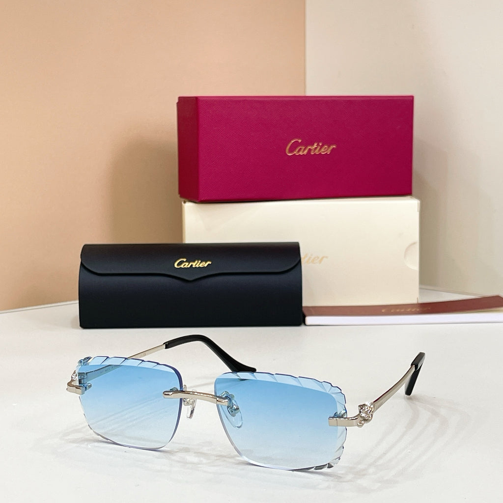 Cartier CT0805S Photochromic Fashion Black Lens Sunglasses for Men & - 132565 - detail image 6