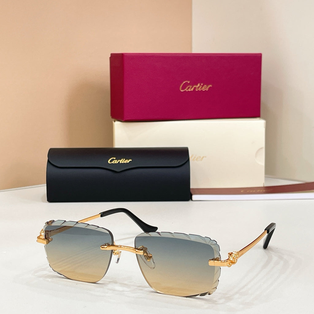 Cartier CT0805S Photochromic Fashion Black Lens Sunglasses for Men & - 132565 - detail image 4