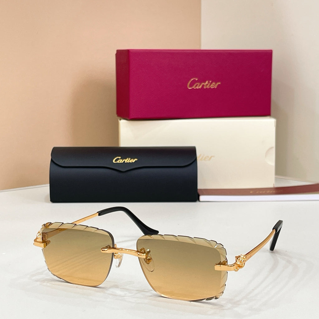 Cartier CT0805S Photochromic Fashion Black Lens Sunglasses for Men & - 132565 - detail image 7