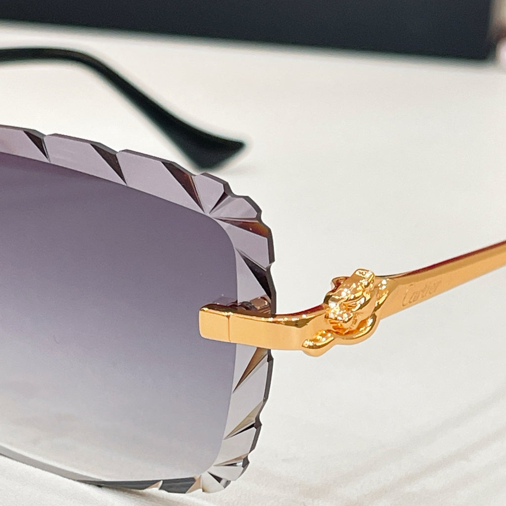 Cartier CT0805S Photochromic Fashion Black Lens Sunglasses for Men & Women - detail image 3