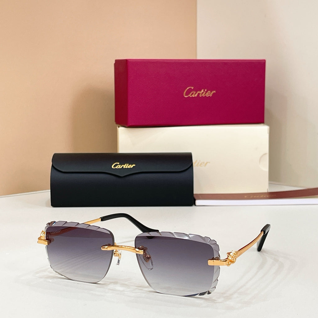Cartier CT0805S Photochromic Fashion Black Lens Sunglasses for Men & Women - detail image 2