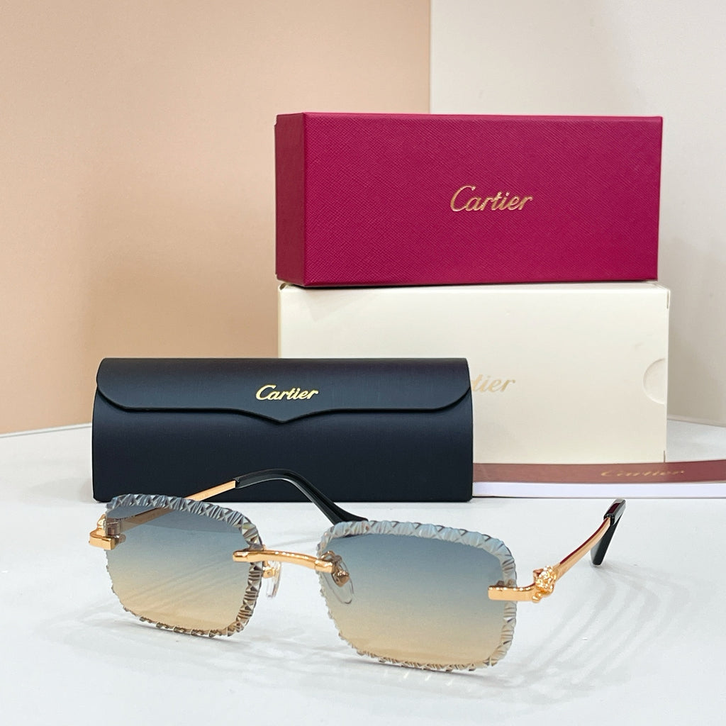 Cartier CT0803S Photochromic Fashion Black Lens Sunglasses for Men & - 132567 - detail image 4
