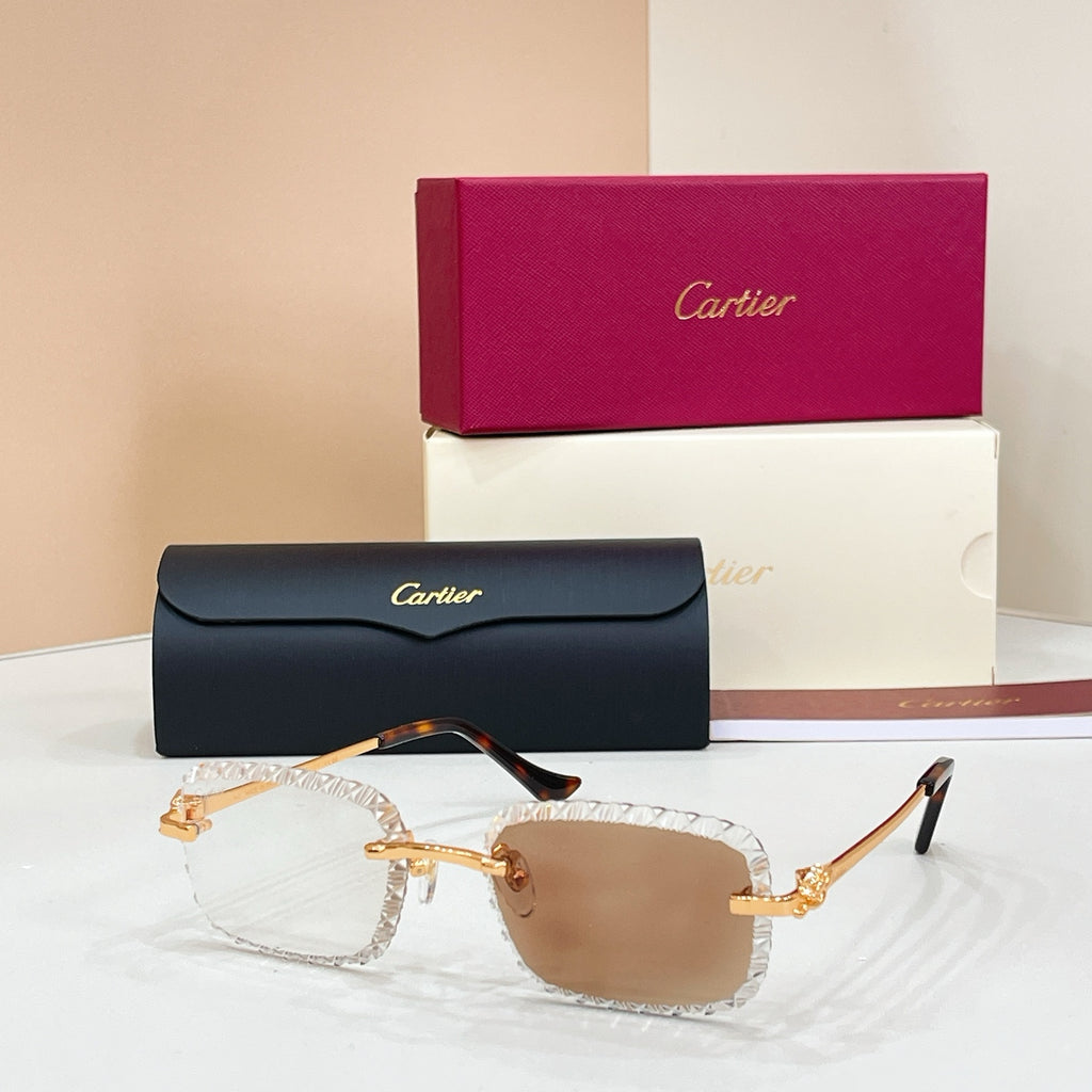 Cartier CT0803S Photochromic Fashion Black Lens Sunglasses for Men & - 132567 - detail image 2