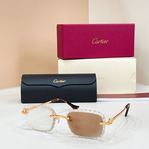 Cartier CT0803S Photochromic Fashion Black Lens Sunglasses for Men & - 132567 - detail image 2
