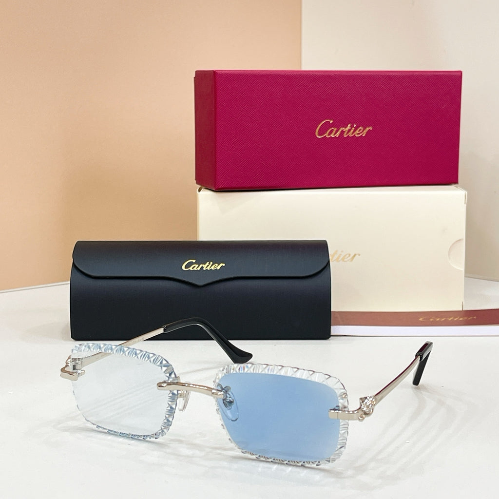 Cartier CT0803S Photochromic Fashion Black Lens Sunglasses for Men & - 132567 - detail image 8