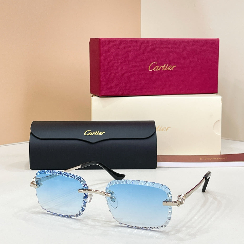 Cartier CT0803S Photochromic Fashion Black Lens Sunglasses for Men & - 132567 - detail image 5