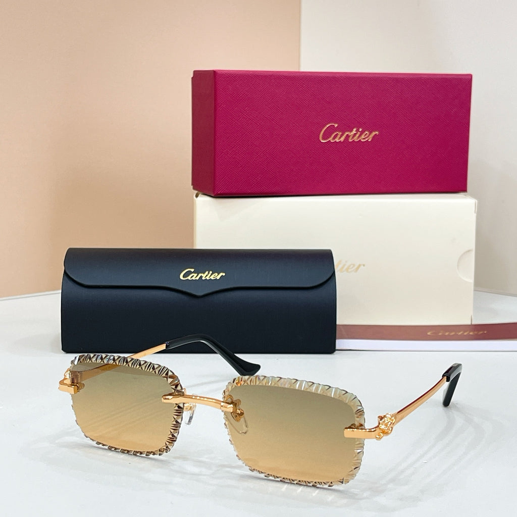 Cartier CT0803S Photochromic Fashion Black Lens Sunglasses for Men & Women - detail image 2