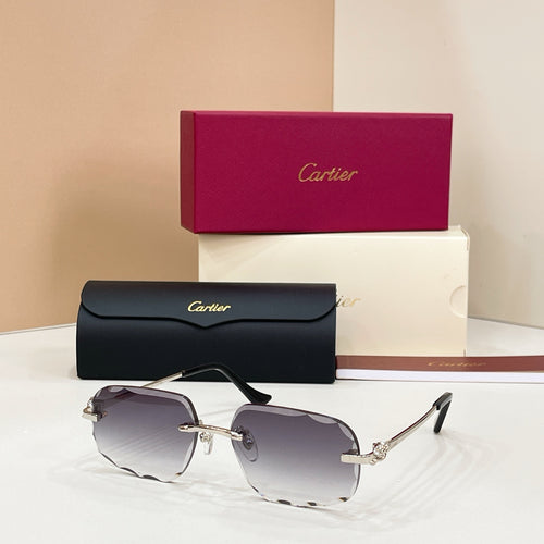 Cartier CT0804S Photochromic Fashion Black Lens Sunglasses for Men & - 132561
