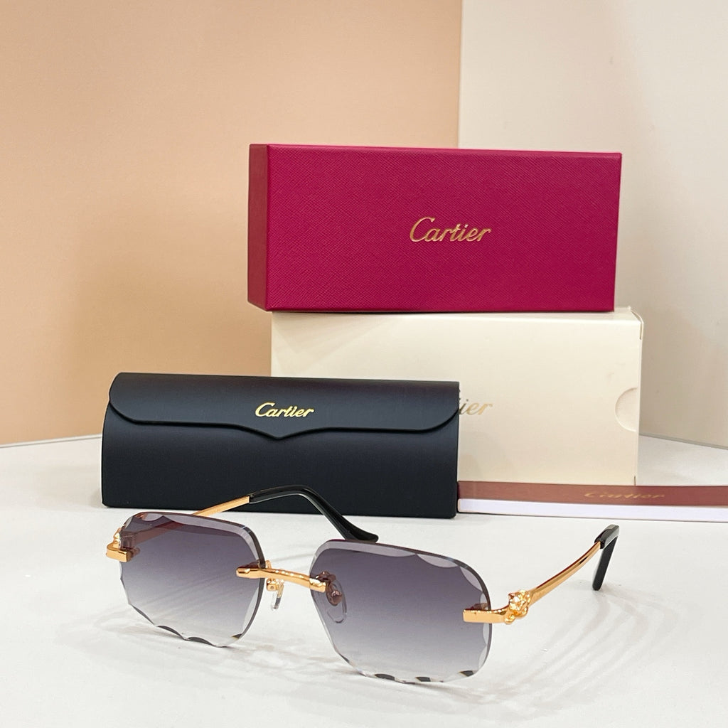 Cartier CT0804S Photochromic Fashion Black Lens Sunglasses for Men & - 132561 - detail image 3