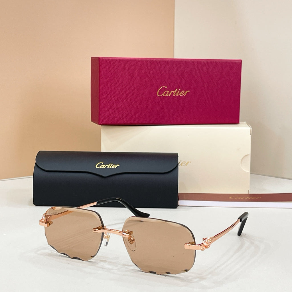 Cartier CT0804S Photochromic Fashion Black Lens Sunglasses for Men & - 132561 - detail image 7