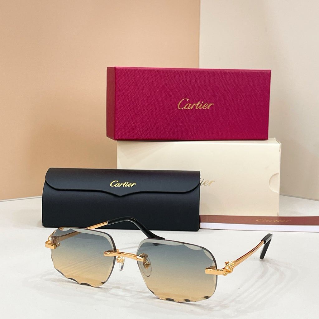 Cartier CT0804S Photochromic Fashion Black Lens Sunglasses for Men & - 132561 - detail image 2