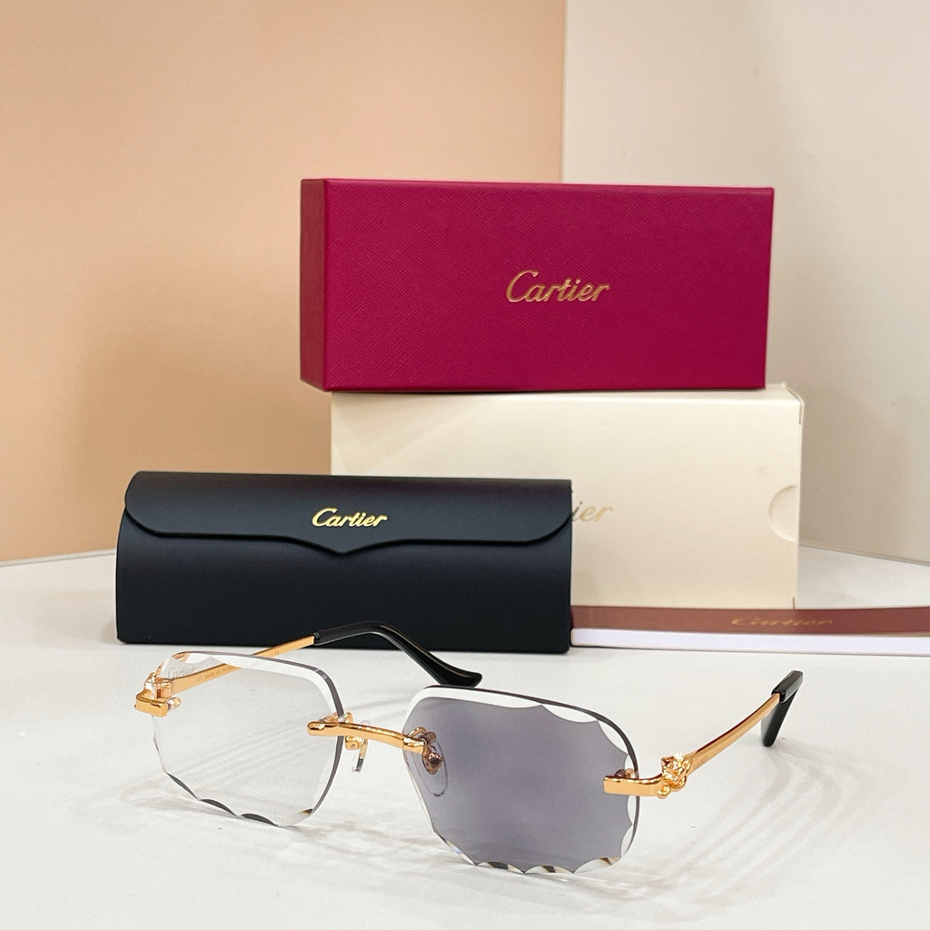 Cartier CT0804S Photochromic Fashion Black Lens Sunglasses for Men & - 132561 - detail image 8