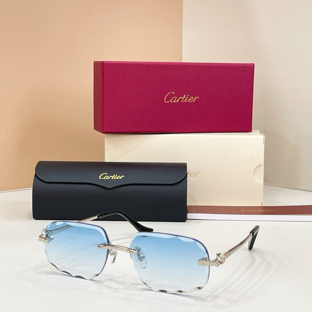 Cartier CT0804S Photochromic Fashion Black Lens Sunglasses for Men & - 132561 - detail image 6